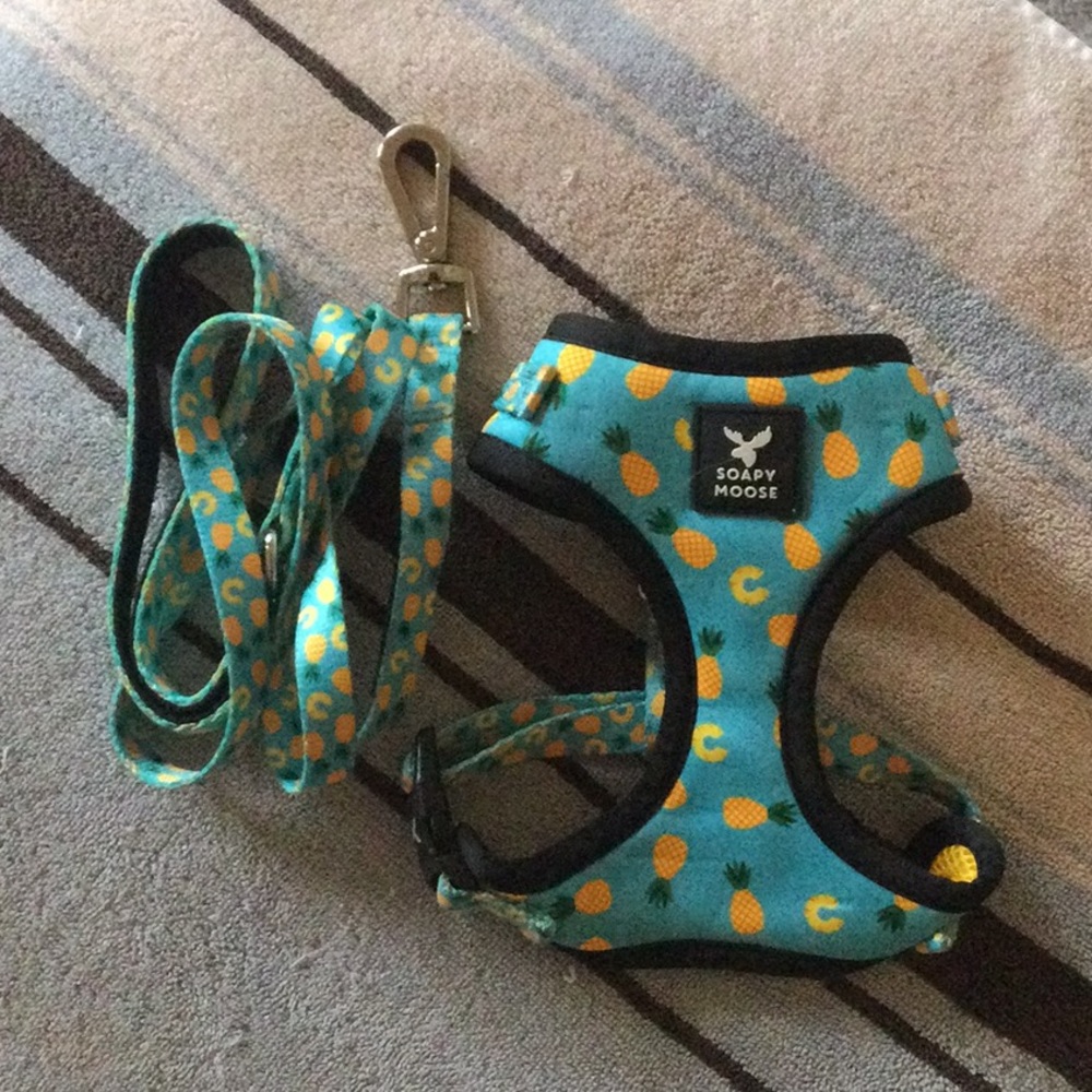 Soapy Moose harness and leash for cat or small dog, EEEEEUC